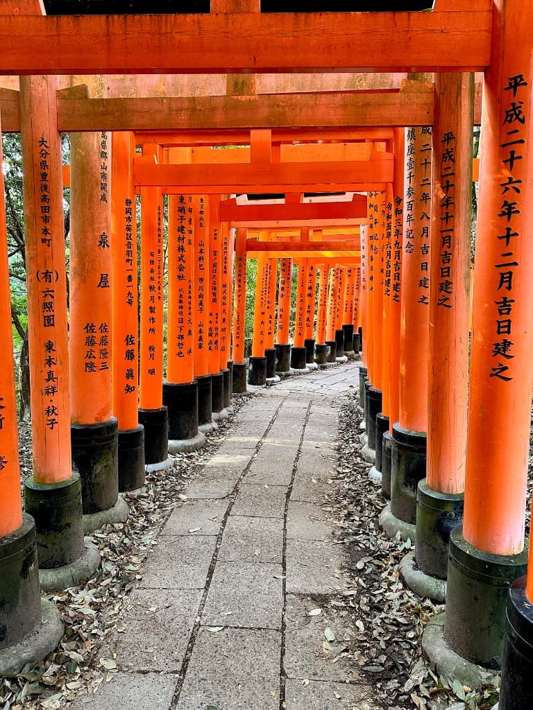 Torii gates, Kyoto